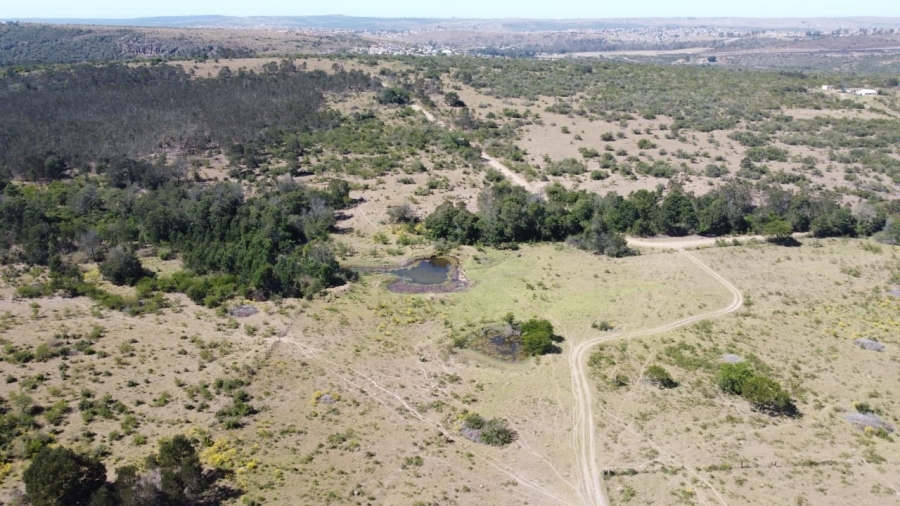 4 Bedroom Property for Sale in King Williams Town Eastern Cape